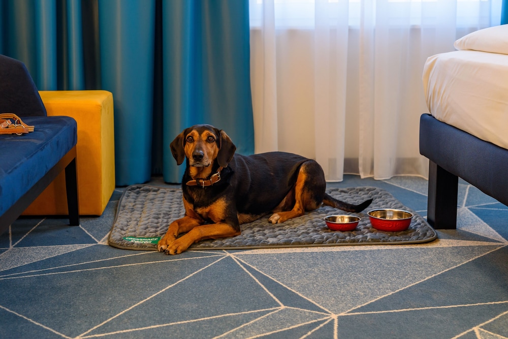 ibis Styles Bad Reichenhall 26/50