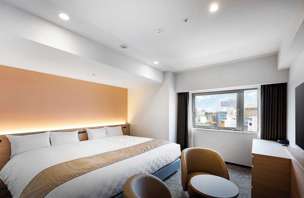 Daiwa Roynet Hotel MITO 13/51