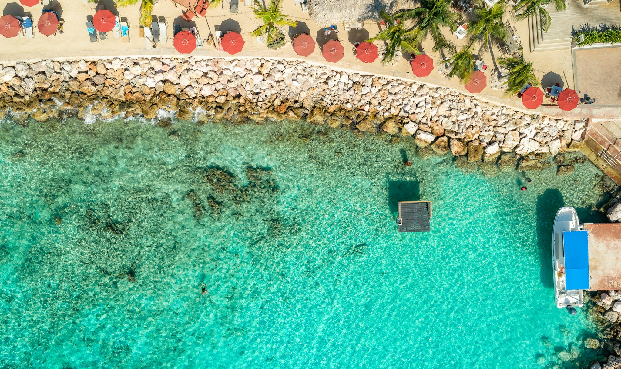Coral Estate Luxury Resort 45/50