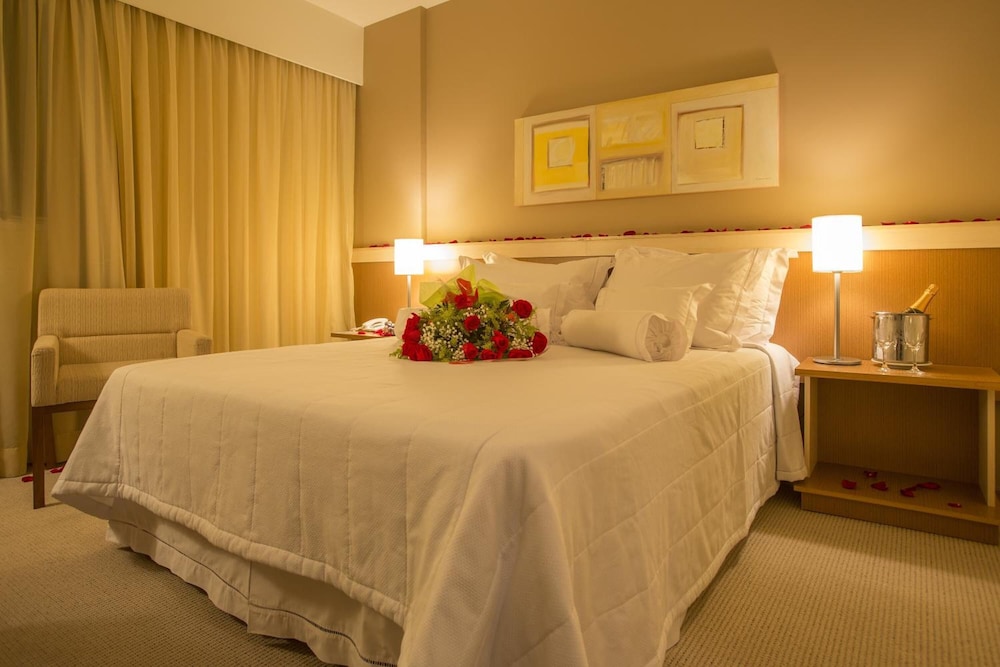 Astron Hotel Bauru 13/50