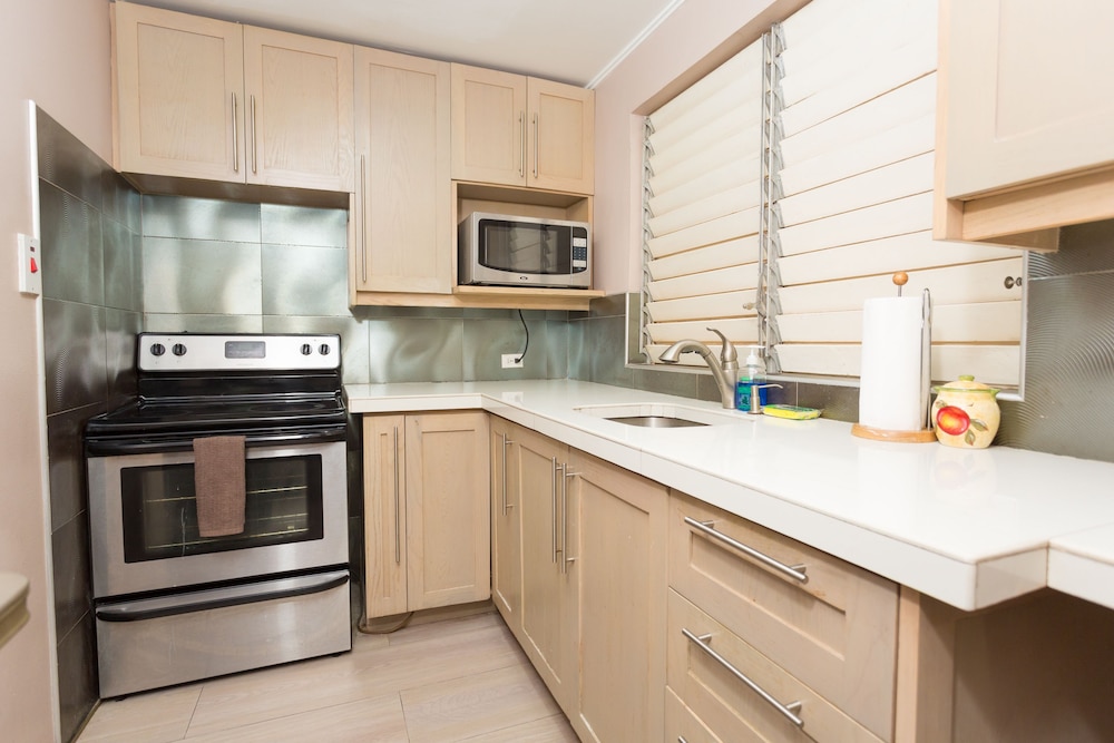 New Kingston Guest Apt At Dorchester 31/32