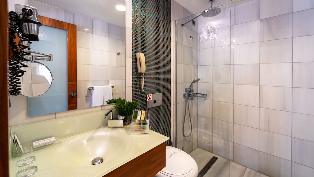 Biz Cevahir Sultanahmet Hotel 47/50
