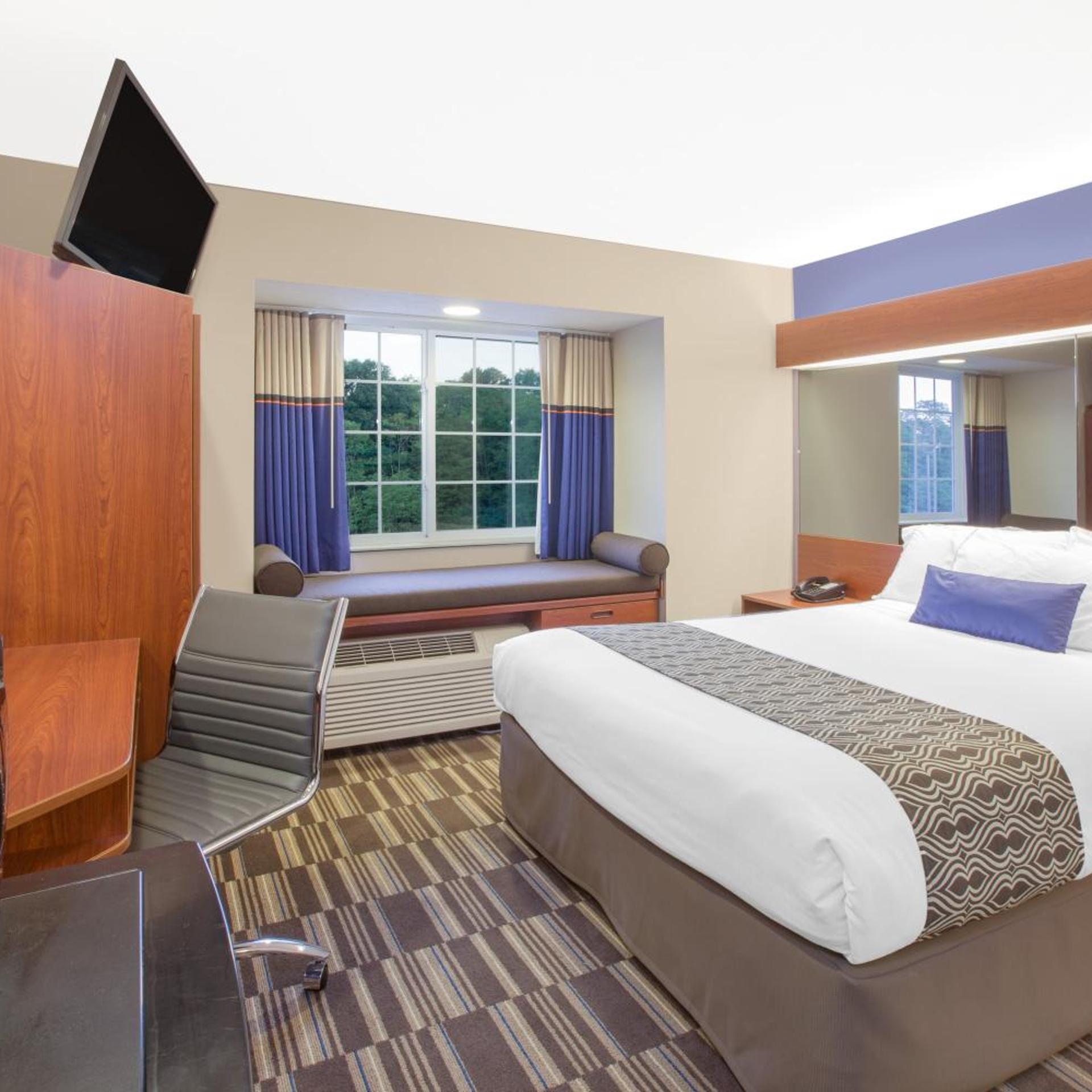 1 Bedroom, Suite, Accessible