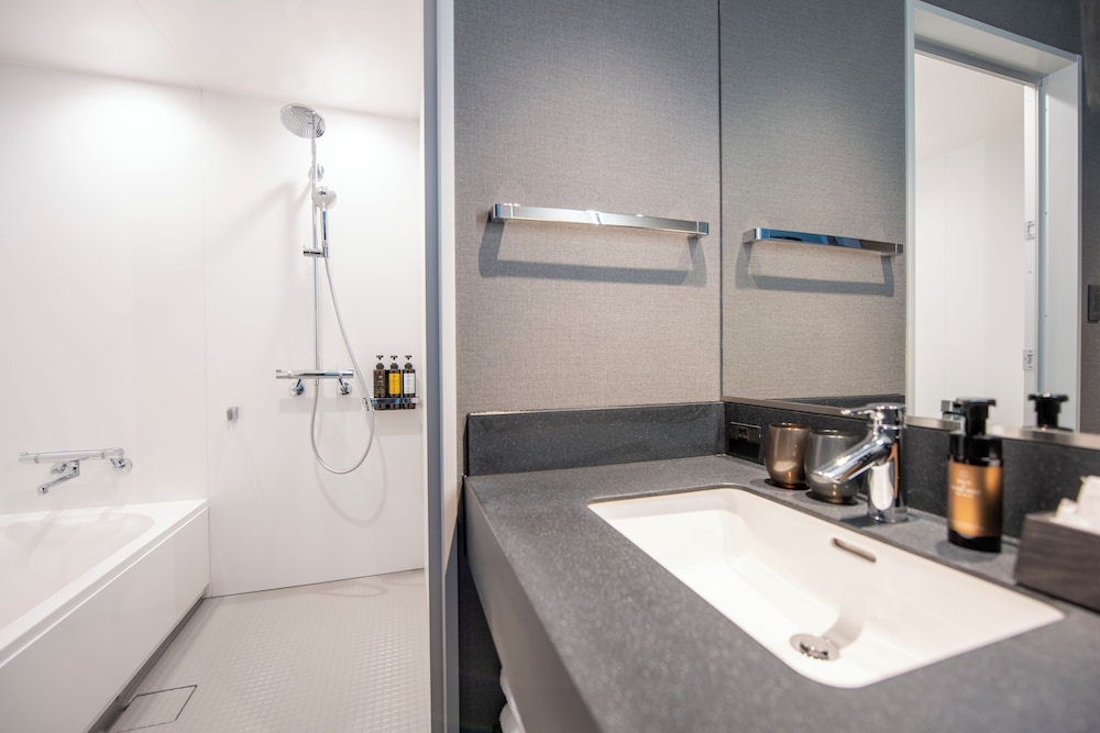 THE GATE HOTEL RYOGOKU by HULIC 47/50