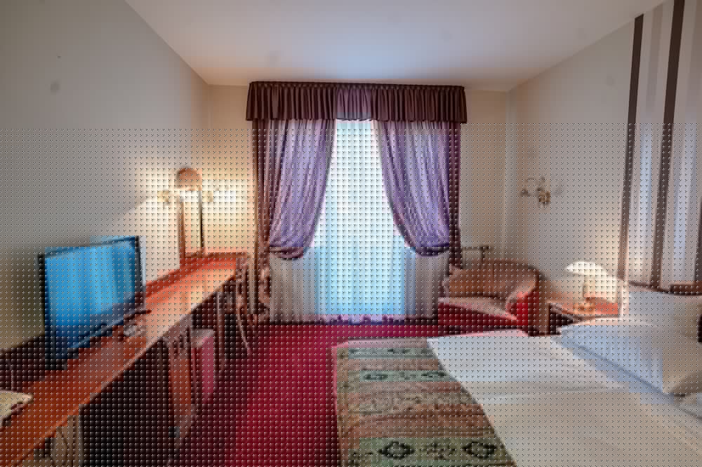 Erzsebet Hotel 10/46