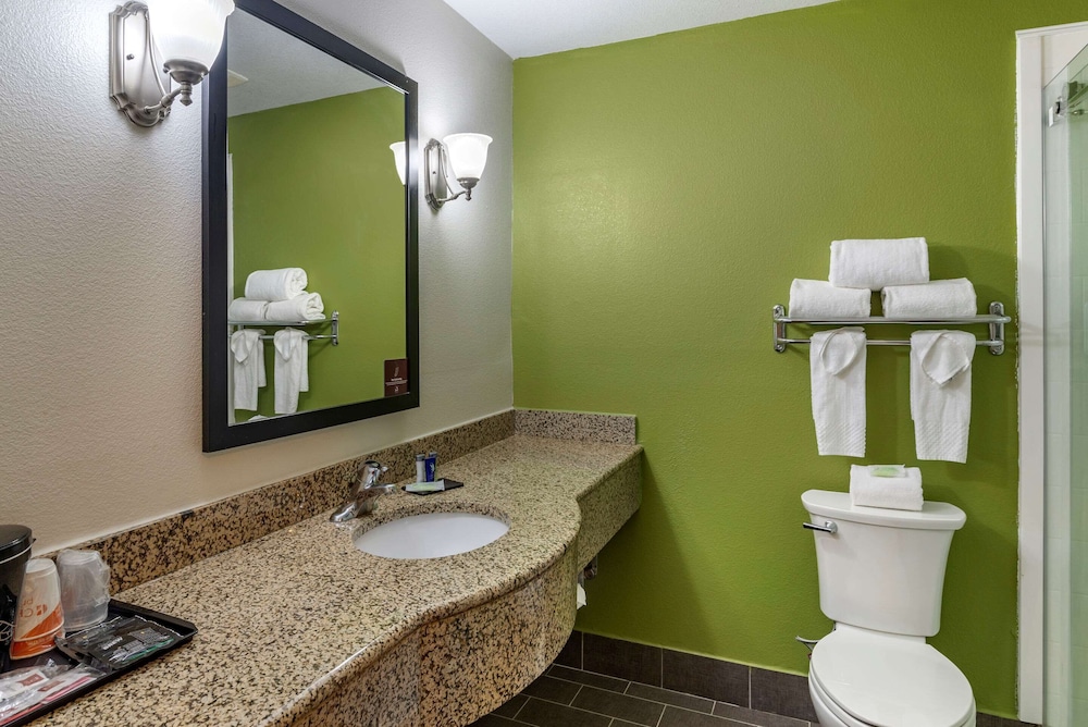 Sleep Inn & Suites Stockbridge Atlanta South 13/37