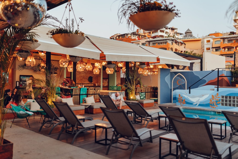 Mayan Monkey Los Cabos 36/50