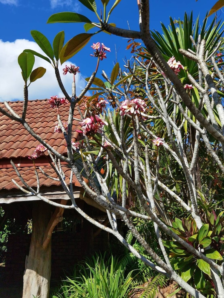 Wangnamkhao Resort 52/63