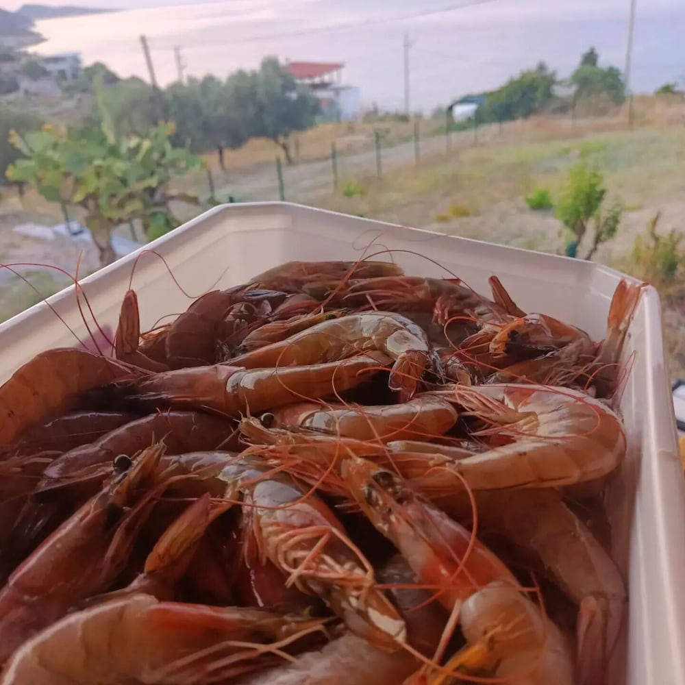 Hayela Bungolow Otel ve Restaurant Karaburun 9/34