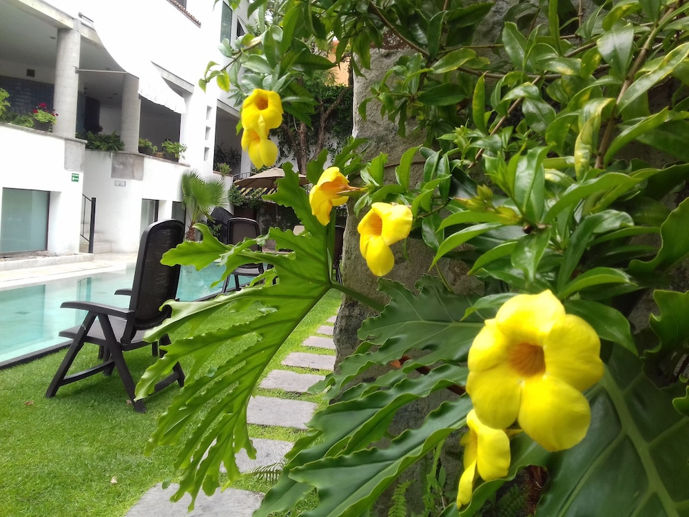 Doña Urraca Hotel &amp; Spa 47/67