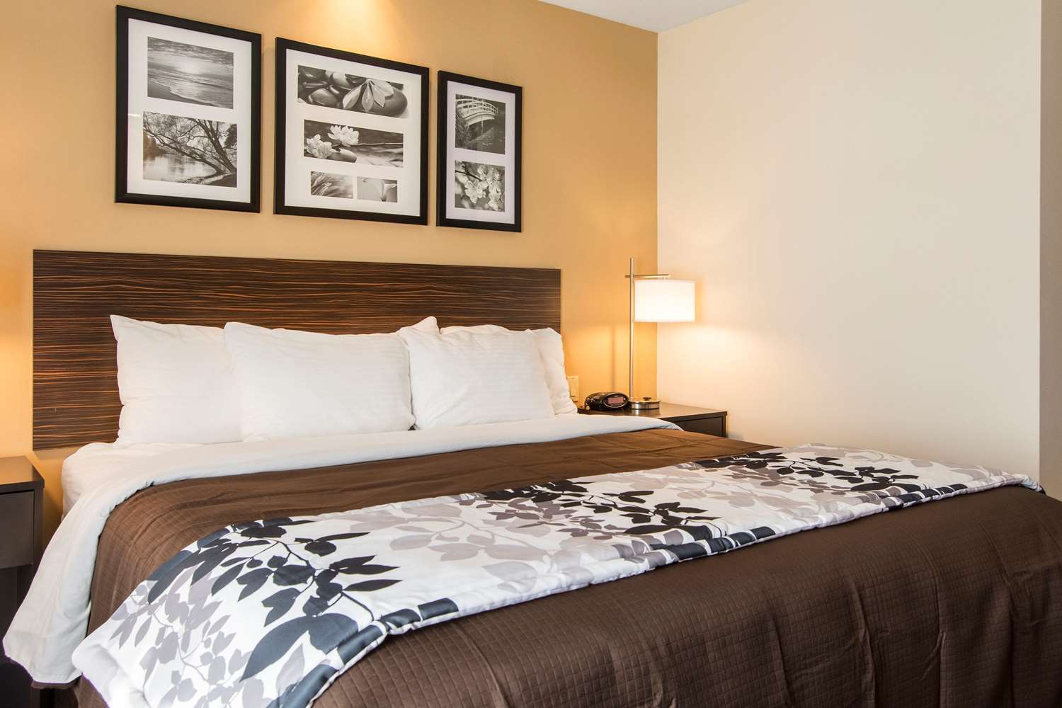 Sleep Inn Bend Crossroads Plaza 15/56
