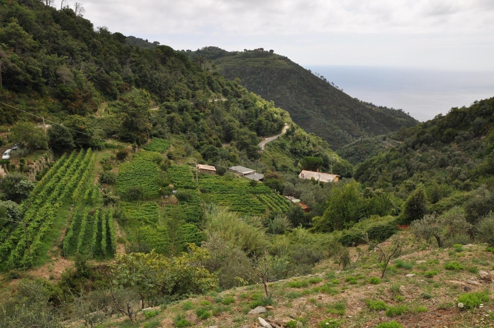 Agriturismo Costa Di Campo 30/44