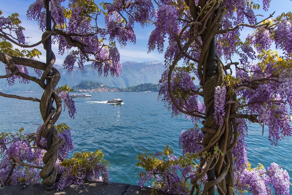 Bellavista 47/50