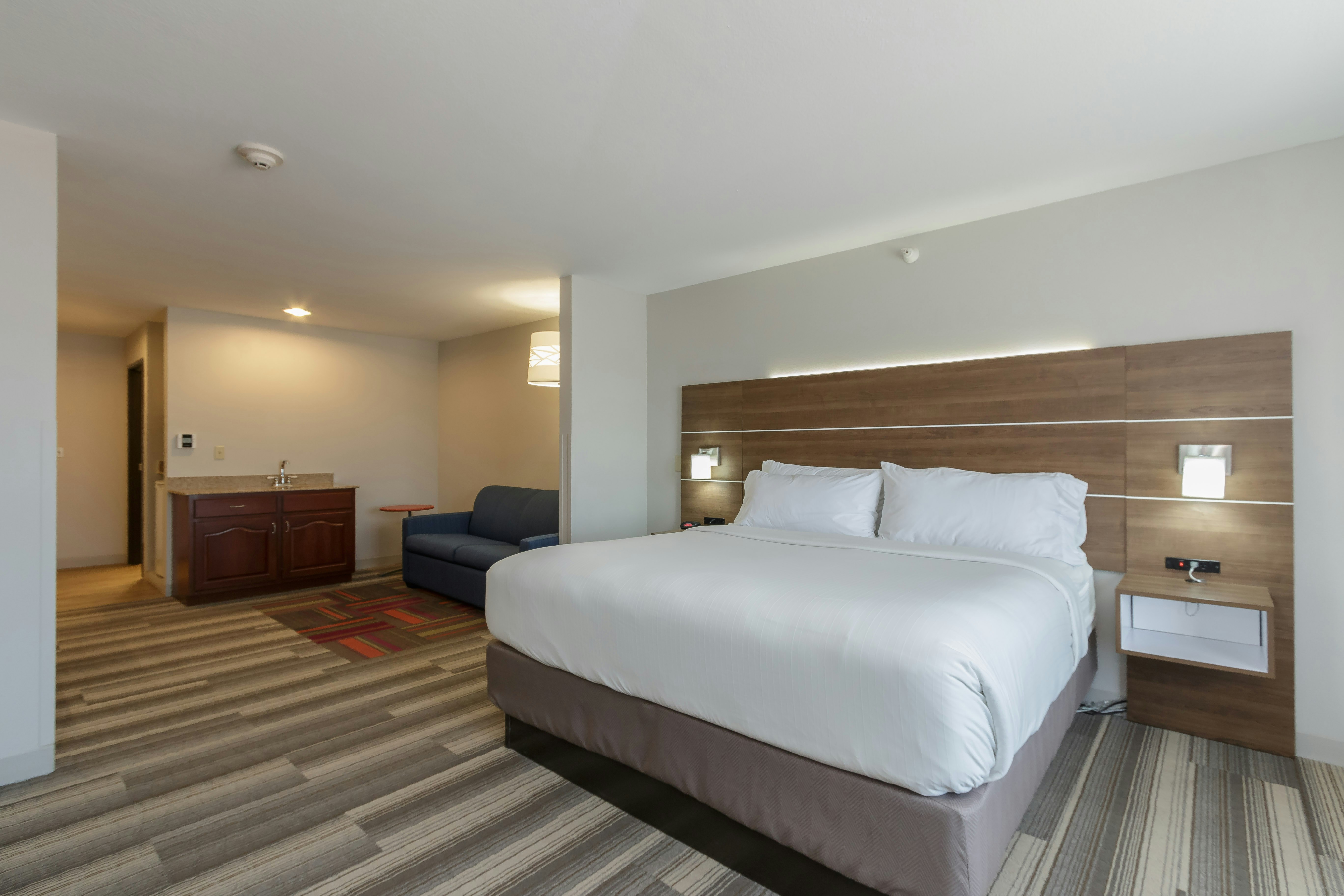 Holiday Inn Express Hotel & Suites South Bend 21/63