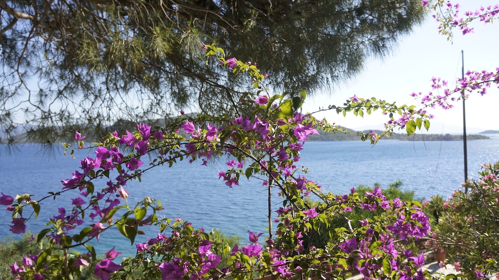 Bozburun Yacht Club 37/49