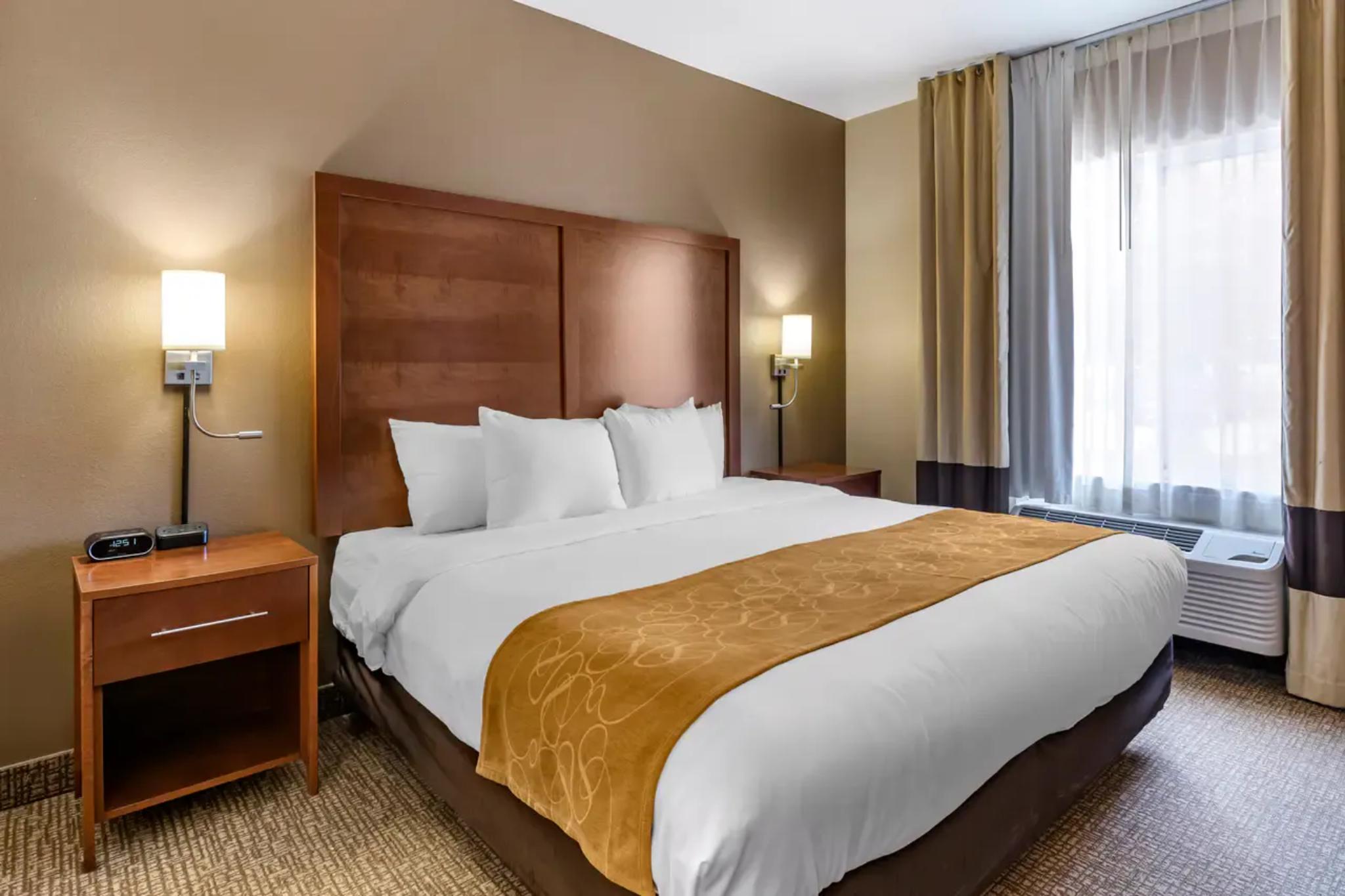 Efficiency, Suite, King Bed
