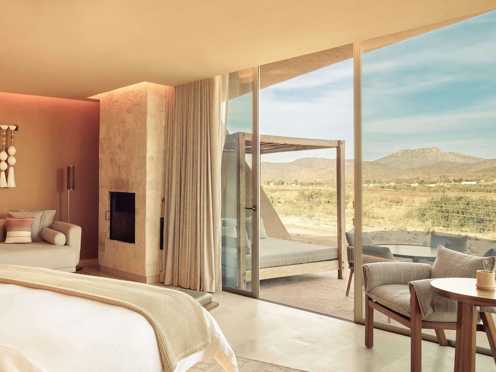 Banyan Tree Veya Valle de Guadalupe 66/91