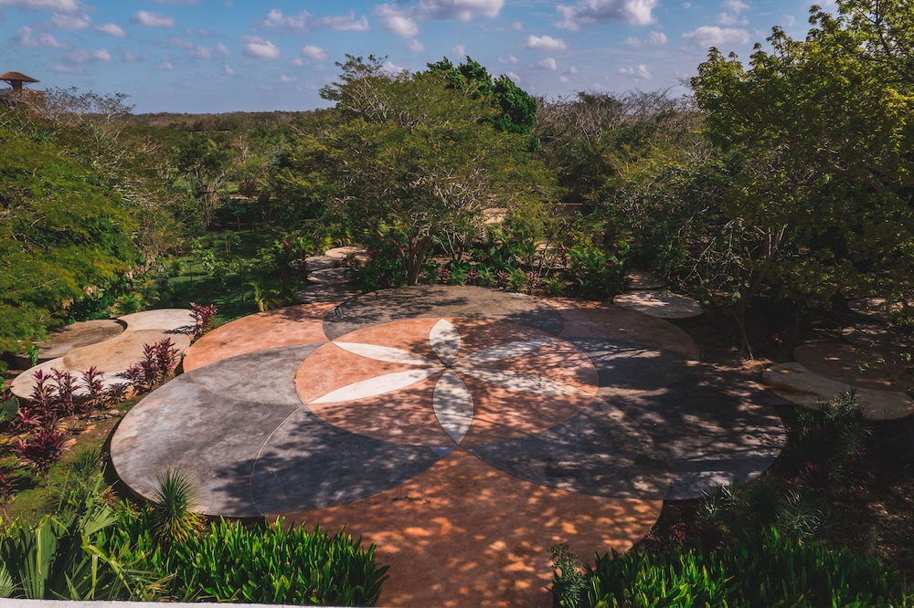 Destino Mio Mayan Jungle Retreat 40/56