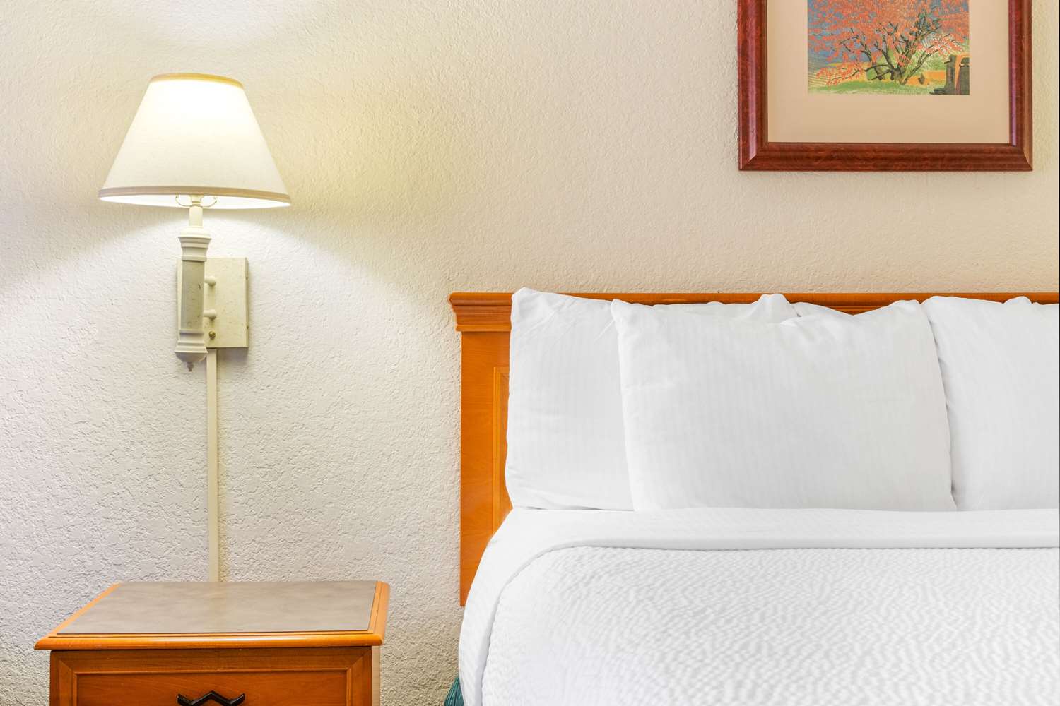 Super 8 by Wyndham Eagle Pass 29/41
