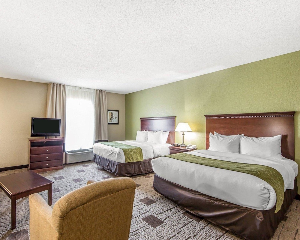 Comfort Suites Kodak Sevierville 13/40