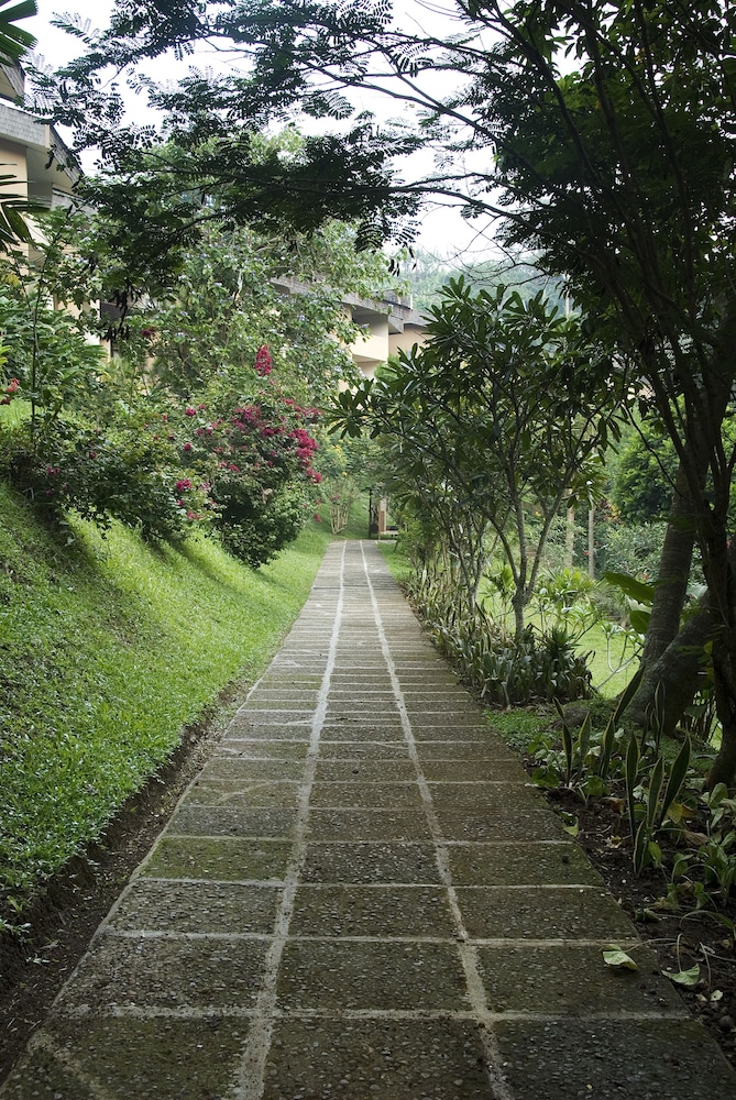 The Cipaku Garden 35/70