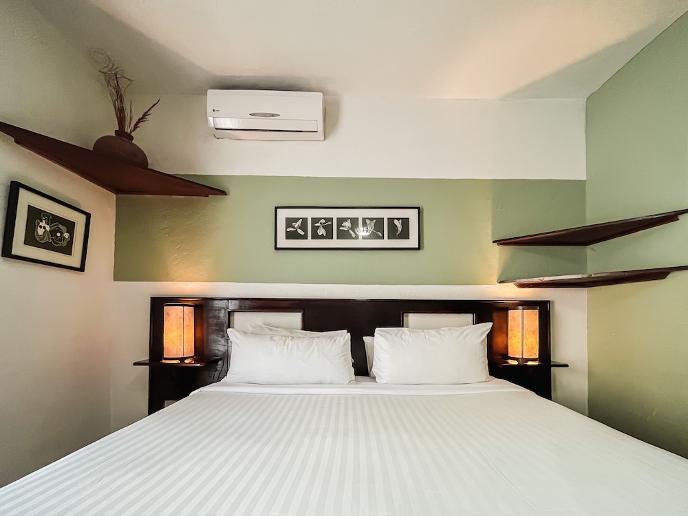 Los Agaves Hotel 24/52