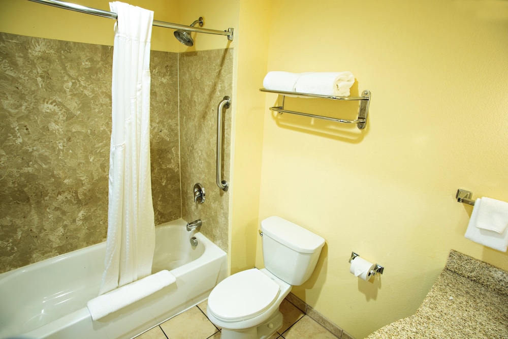 غرفة قياسية بسرير كينج، Holiday Inn Express & Suites Harrisburg W - Mechanicsburg 10/10