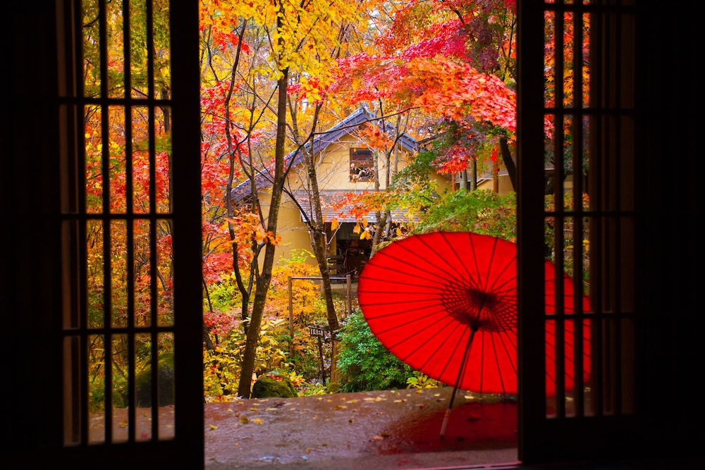Tateshina Park Hotel (ex. Tateshina Ai) 34/69
