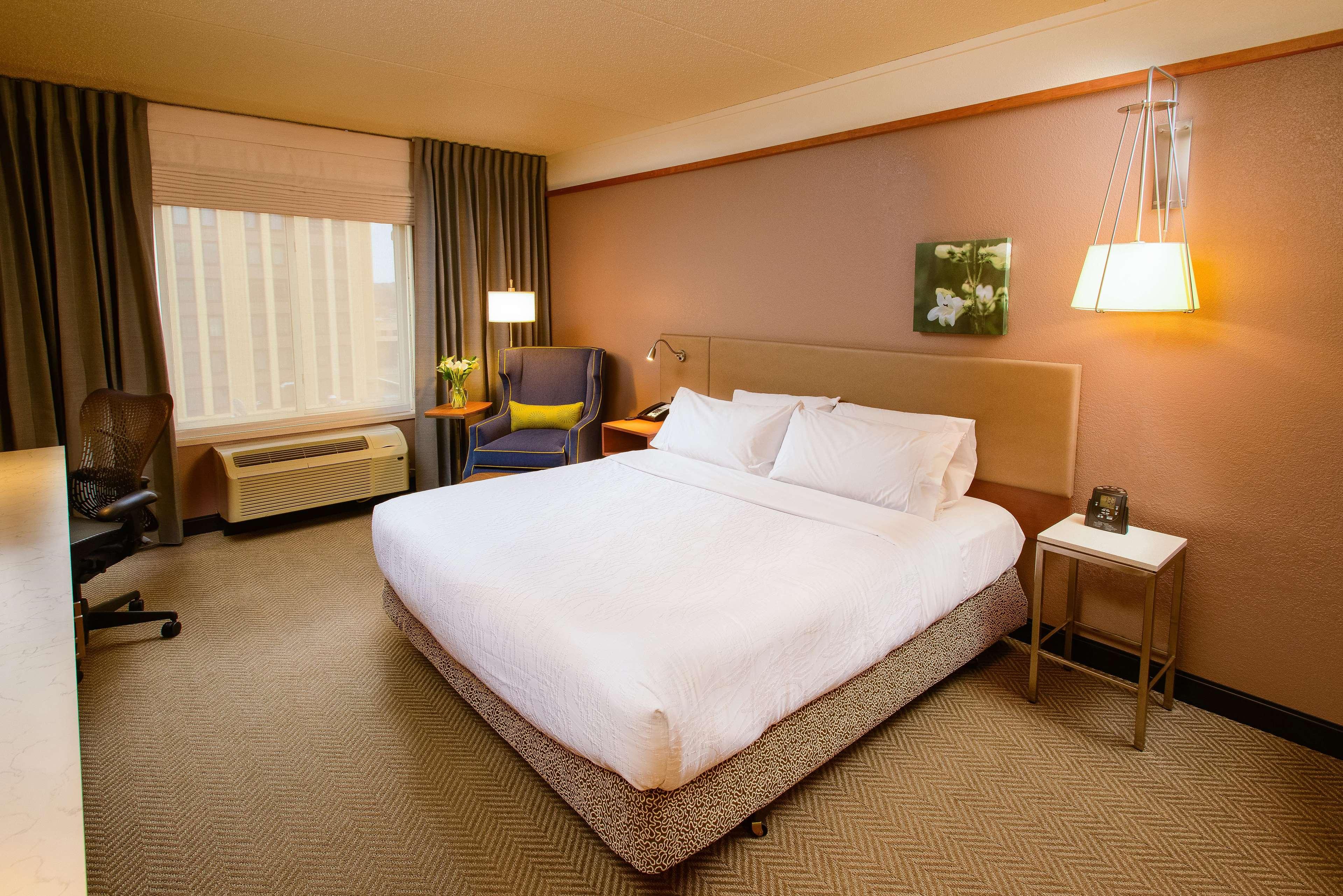 1 BEDROOM, DELUXE, SUITE, KING BED, SOFA