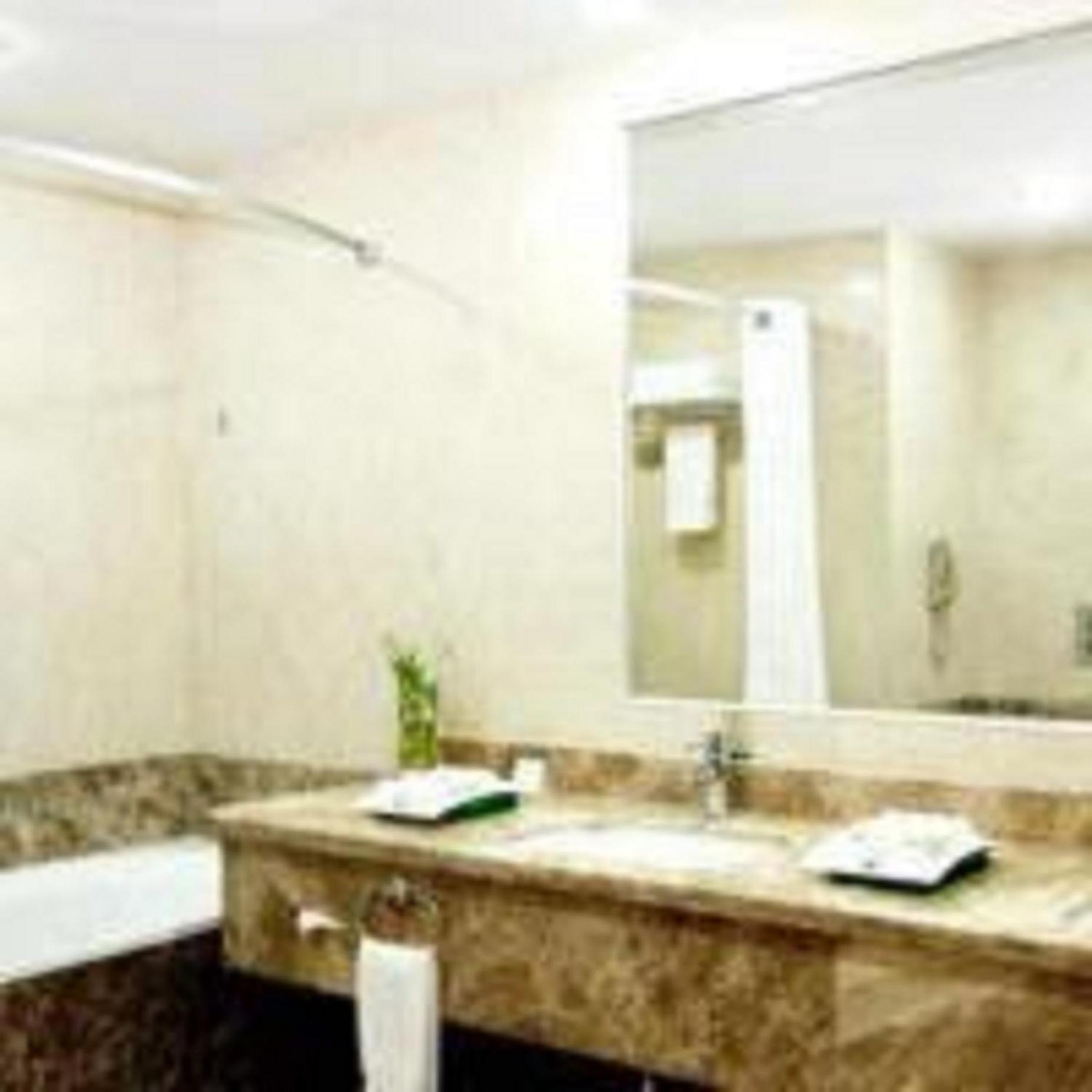 غرفة بريميوم بسرير كينج بإطلالة على المدينة للمدخنين، هوليداي إن - العليا(Holiday Inn Olaya) 3/3