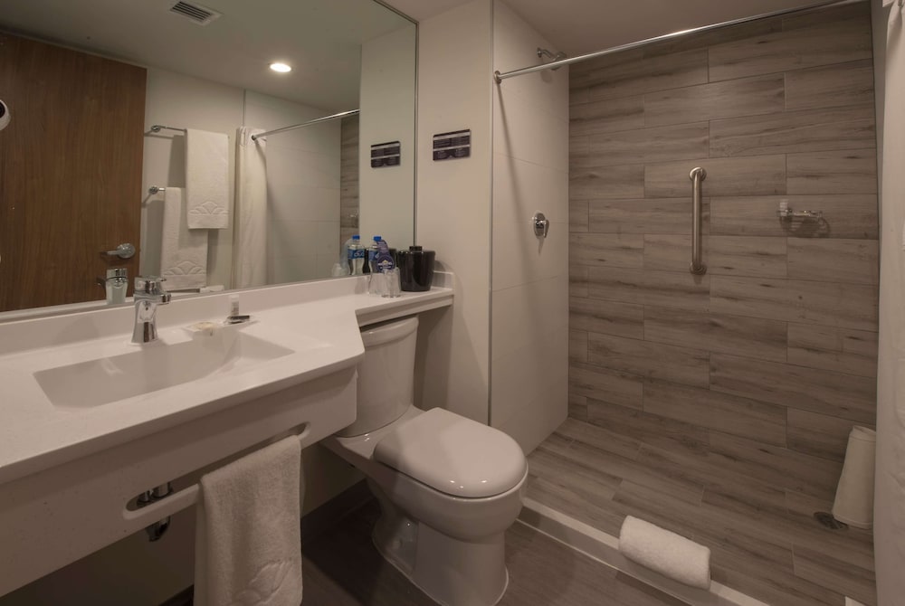Microtel Inn Suites By Wyndham Irapuato 26/28