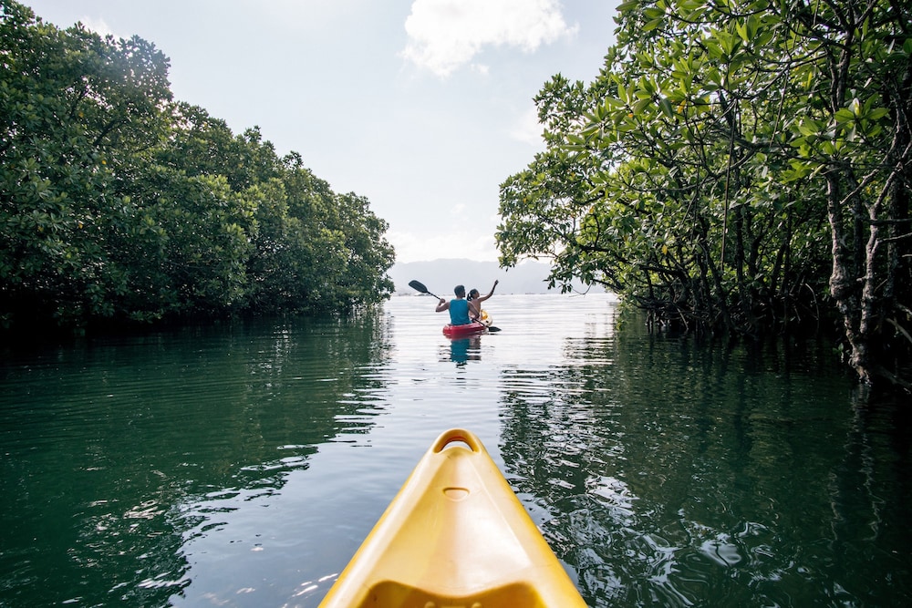Bacau Bay Resort Coron 34/43