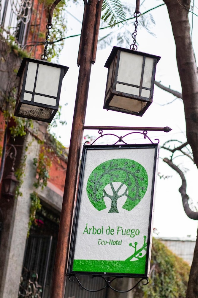 Arbol de Fuego 2/63