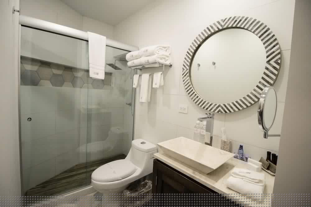Casa Rosa Gran Hotel Boutique 16/48