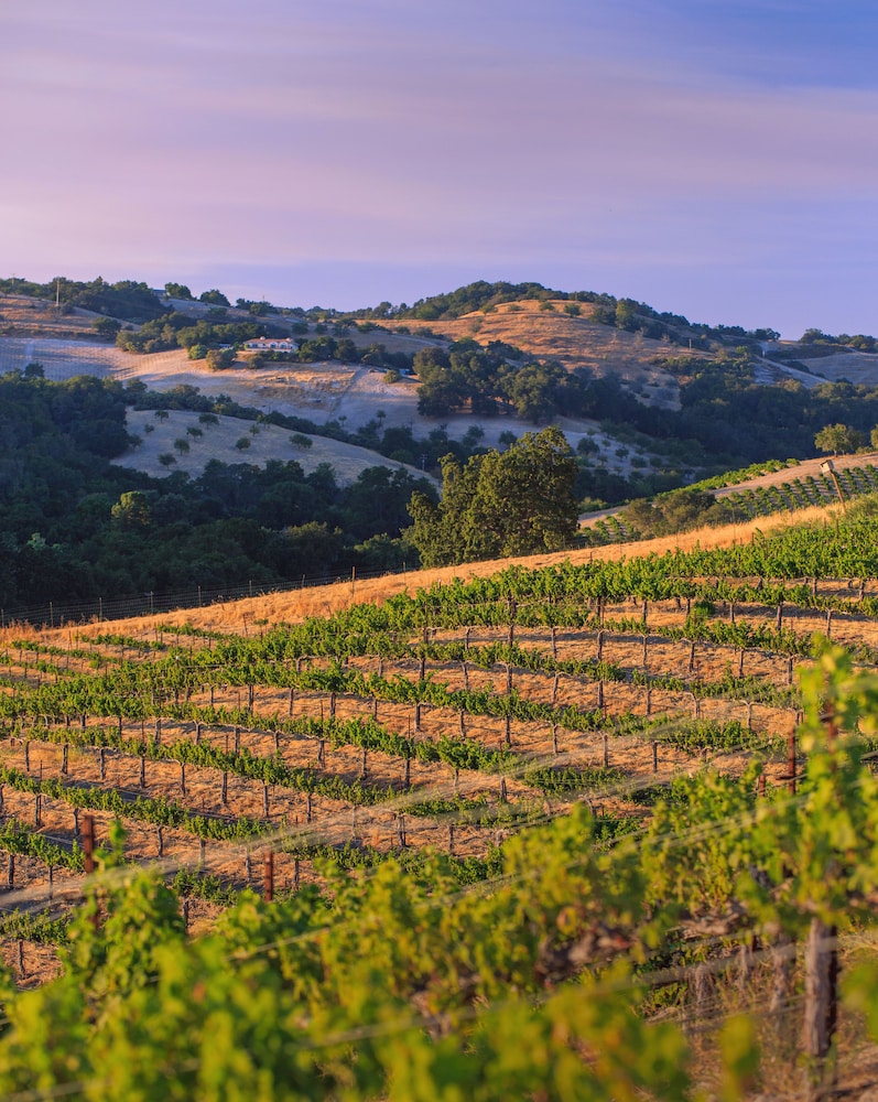Allegretto Vineyard Resort Paso Robles 68/71