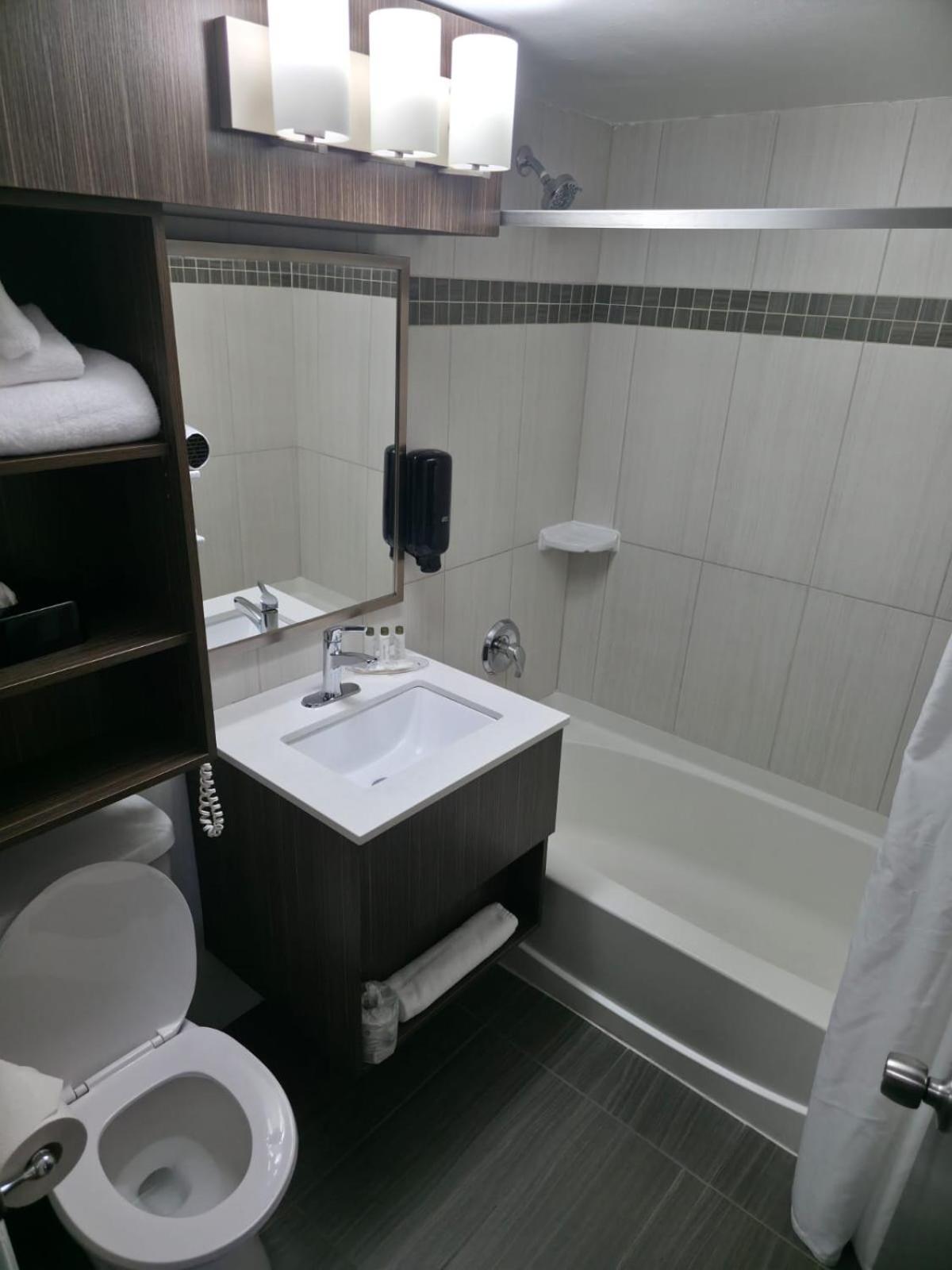 Room, King Bed, Pet Friendly