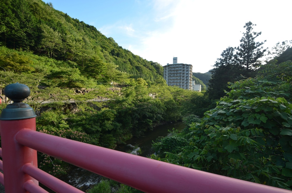 Shin Kabakawa Kanko Hotel 45/50