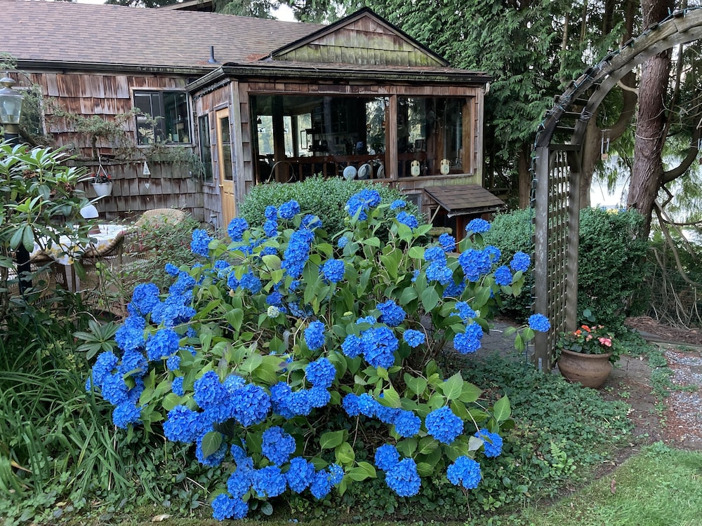 Cottage Lake Bed And Breakfast 44/50