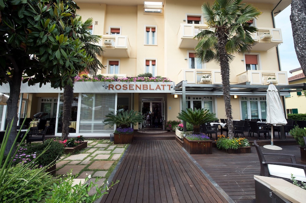 Hotel Rosenblatt 1/50