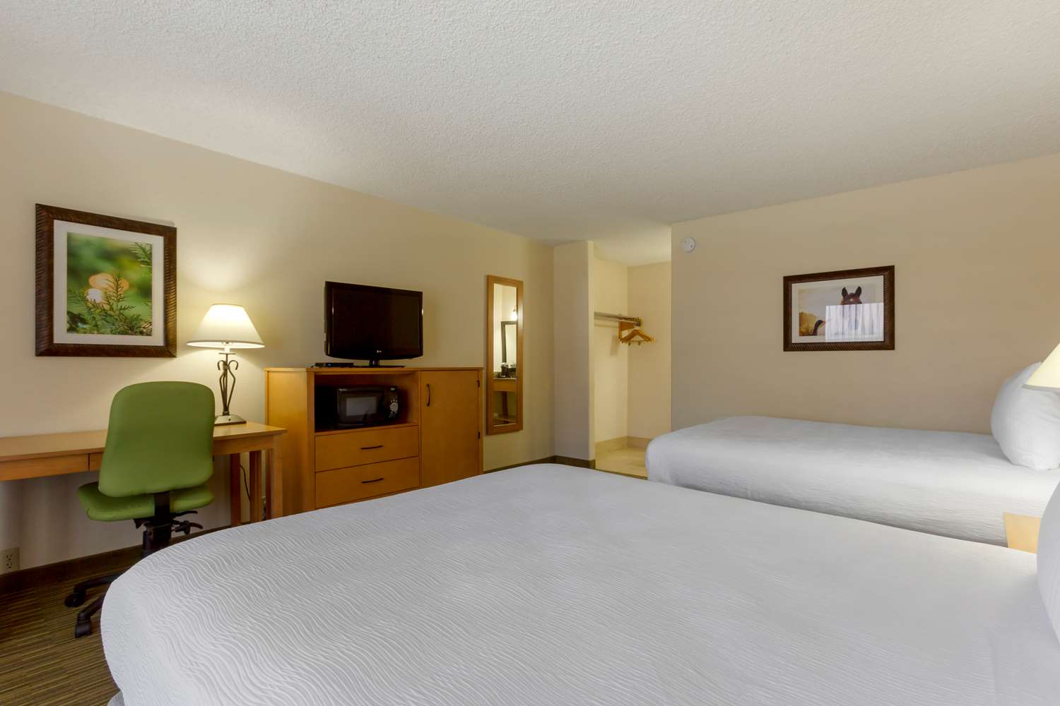 غرفة بسريرين كوين، Best Western Paint Pony Lodge 2/7