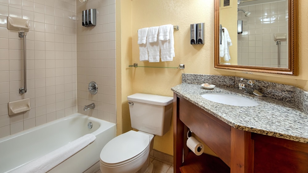 Best Western Plus Richmond Airport Hotel 15/30