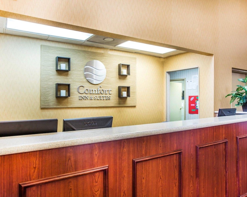 Comfort Inn Suites At Stone Mountain 8/39