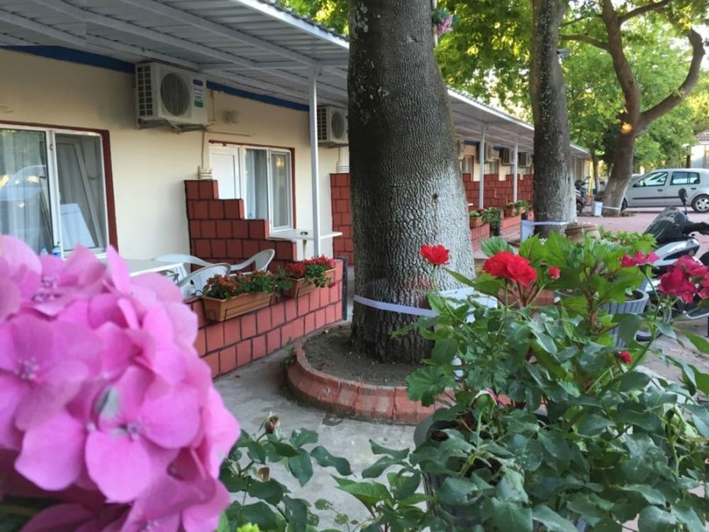 Kafkas Motel 26/29