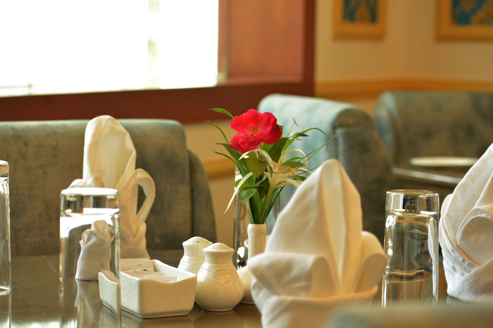 Hotel Chandela Khajuraho 19/50