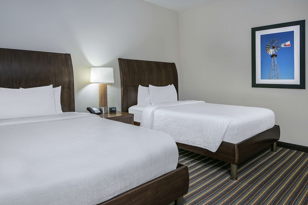 Hilton Garden Inn San Antonio At The Rim 13/55