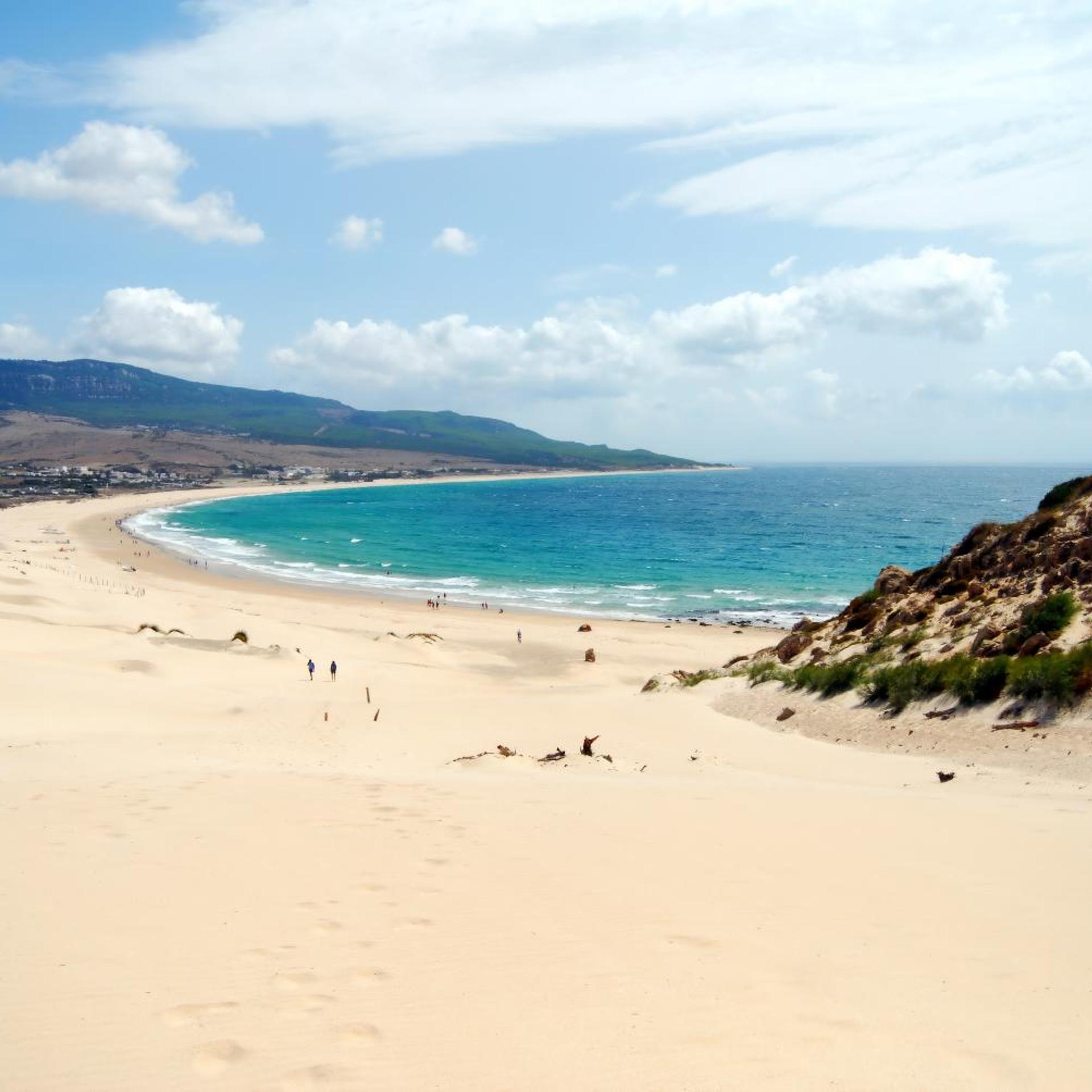 Wawa Tarifa 50/58