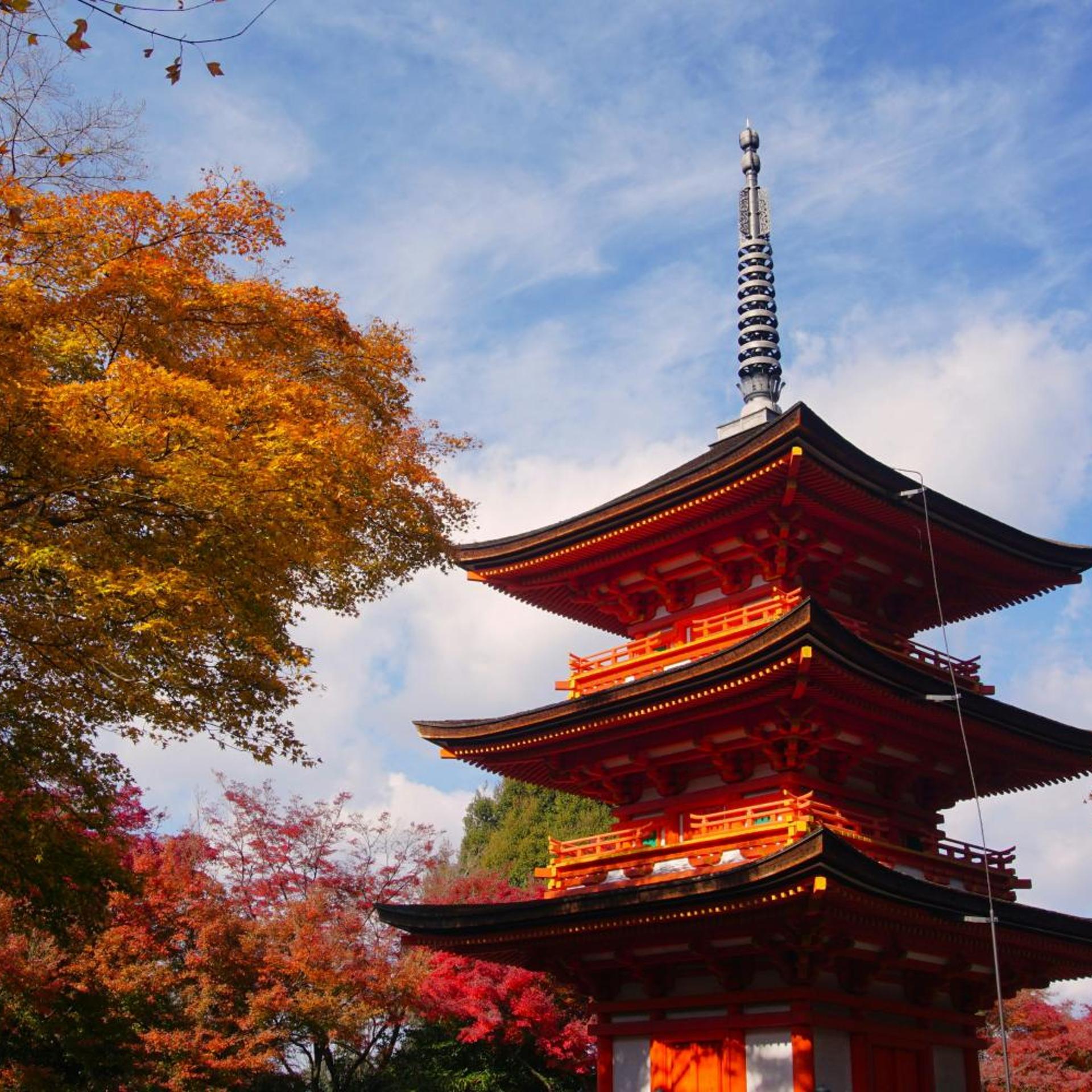 Soyo-ne kyoto sanjo 1/47