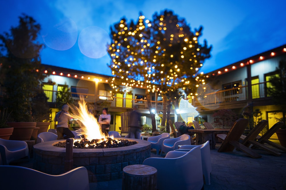 Campfire Hotel 42/50