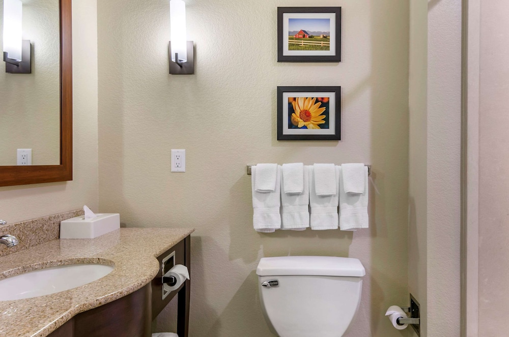 Comfort Suites Helena Airport 17/36