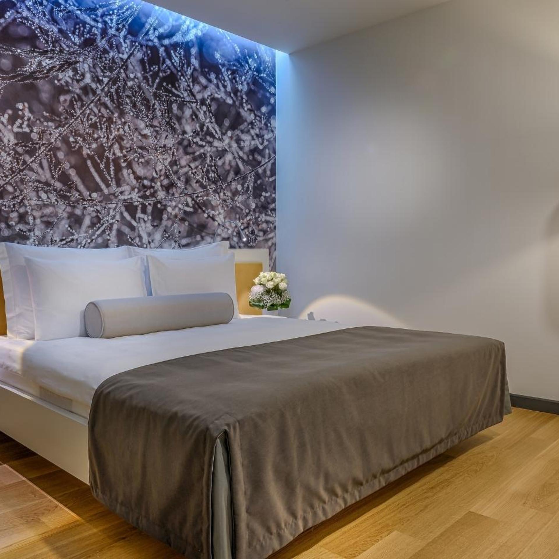 Superior, Double or Twin Bed, No Window